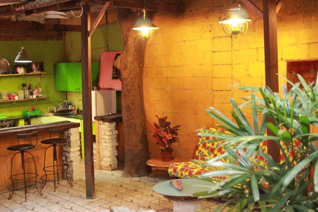 فندق ريو دي جانيروفي  Casa Bananeiras Santa Teresa المظهر الخارجي الصورة